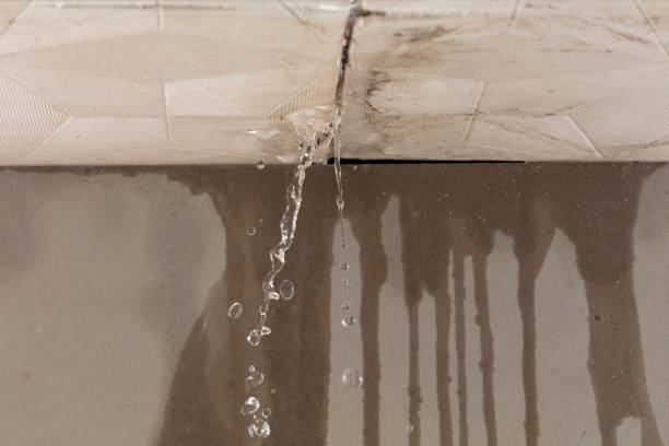 Professional Water Damage Restoration technician working in Friendship, MD